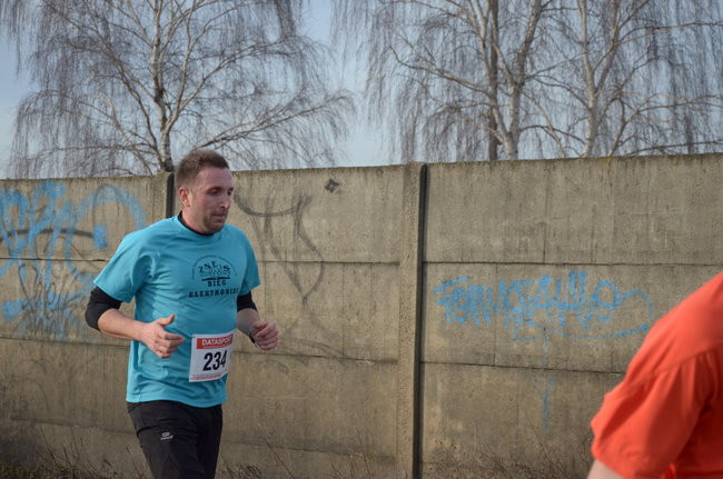 W wiosennym nastroju (zdjęcia)