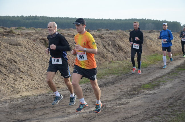 W wiosennym nastroju (zdjęcia)