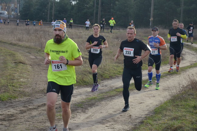 W wiosennym nastroju (zdjęcia)