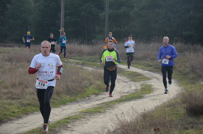 W wiosennym nastroju (zdjęcia)