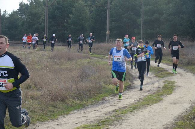 W wiosennym nastroju (zdjęcia)