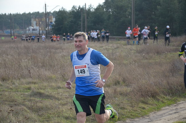 W wiosennym nastroju (zdjęcia)