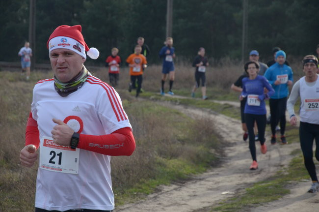 W wiosennym nastroju (zdjęcia)