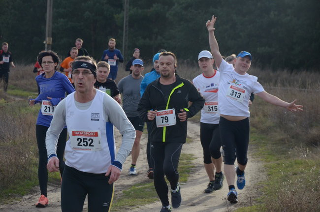 W wiosennym nastroju (zdjęcia)