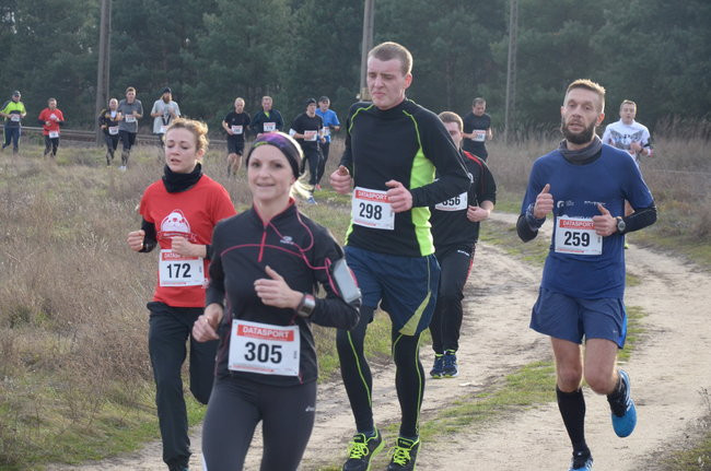 W wiosennym nastroju (zdjęcia)