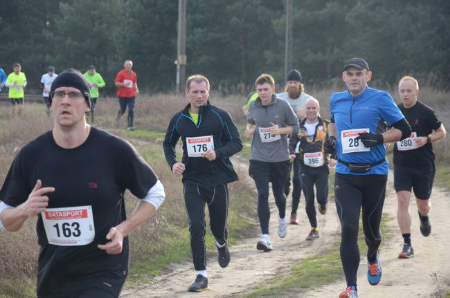 W wiosennym nastroju (zdjęcia)