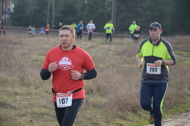 W wiosennym nastroju (zdjęcia)