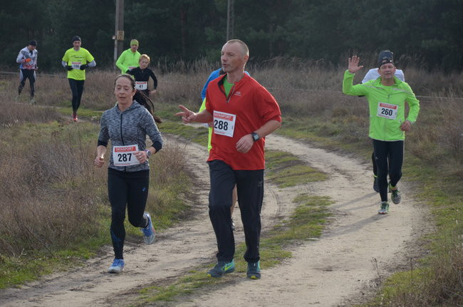 W wiosennym nastroju (zdjęcia)