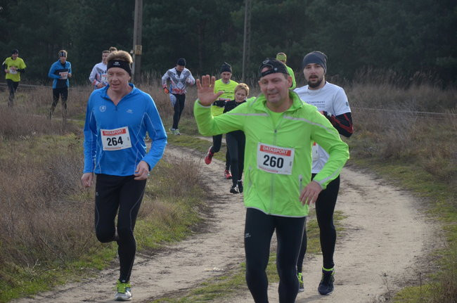 W wiosennym nastroju (zdjęcia)