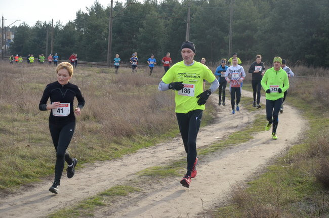 W wiosennym nastroju (zdjęcia)