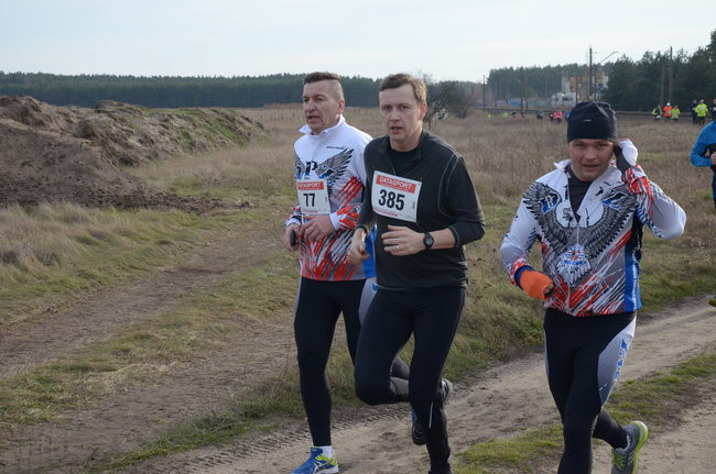 W wiosennym nastroju (zdjęcia)