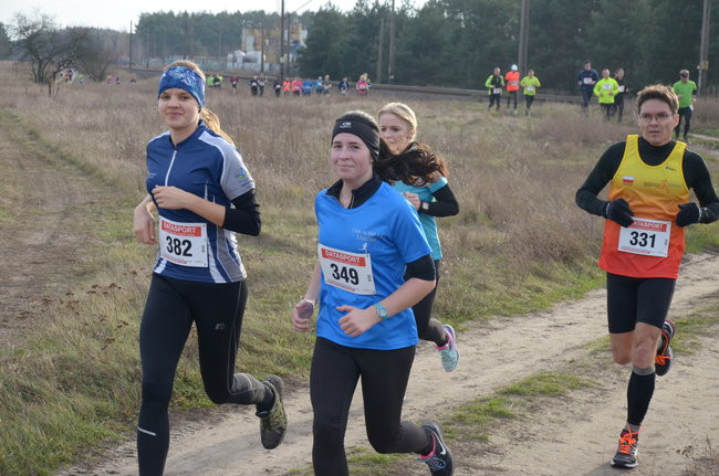 W wiosennym nastroju (zdjęcia)