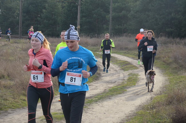 W wiosennym nastroju (zdjęcia)