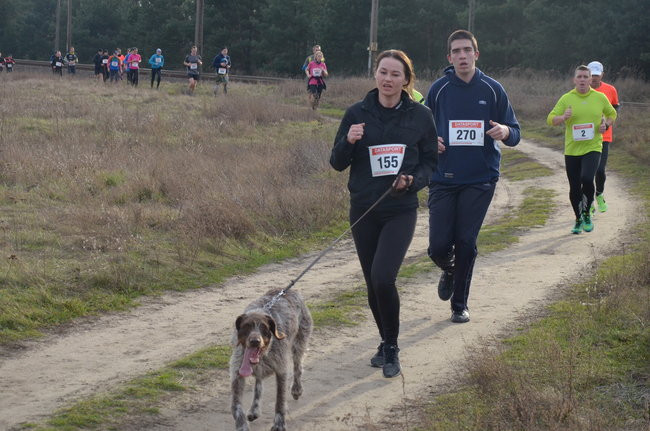 W wiosennym nastroju (zdjęcia)