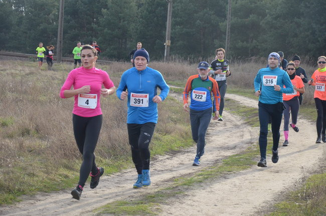 W wiosennym nastroju (zdjęcia)