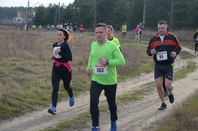 W wiosennym nastroju (zdjęcia)