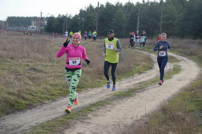 W wiosennym nastroju (zdjęcia)