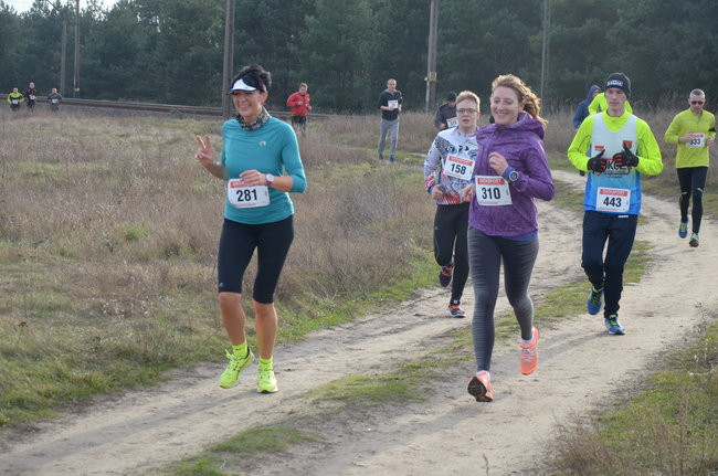 W wiosennym nastroju (zdjęcia)