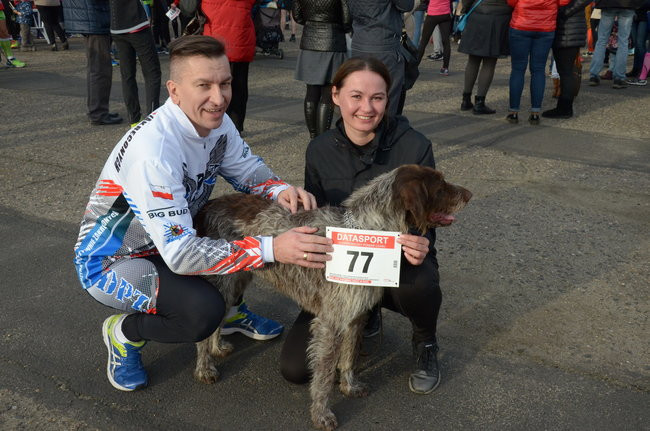 W wiosennym nastroju (zdjęcia)