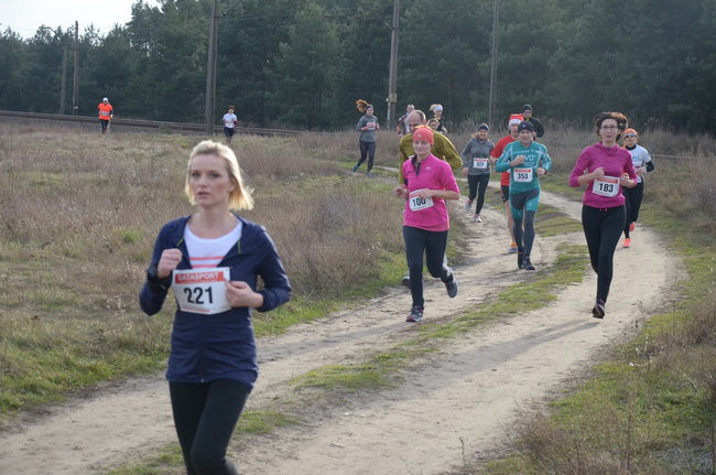 W wiosennym nastroju (zdjęcia)