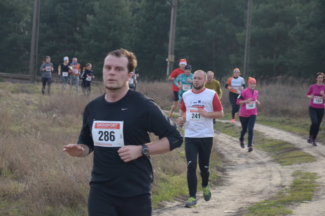 W wiosennym nastroju (zdjęcia)