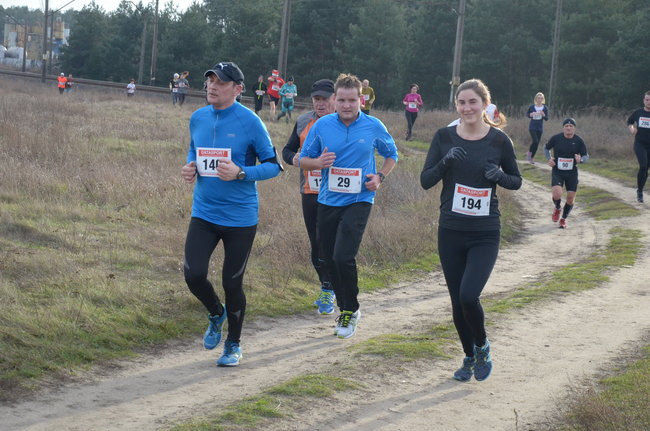 W wiosennym nastroju (zdjęcia)