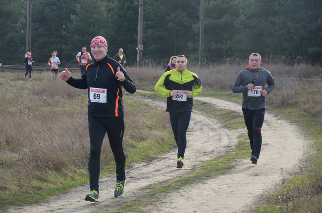 W wiosennym nastroju (zdjęcia)