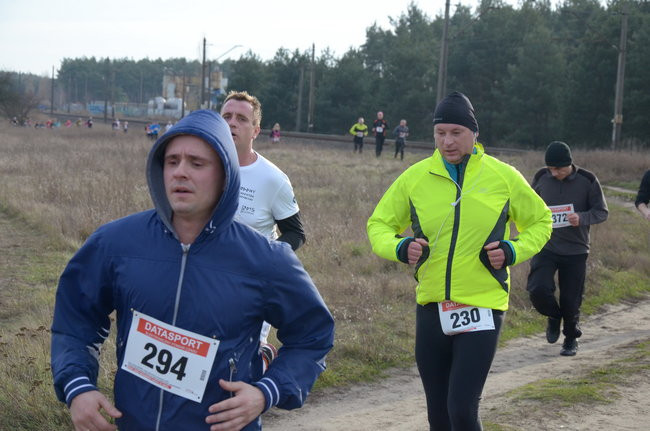 W wiosennym nastroju (zdjęcia)