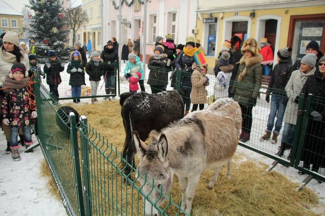 Trzej Królowie dotarli do Rydzyny (zdjęcia)