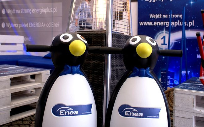 Zimowa zabawa z firmą Enea (zdjęcia)