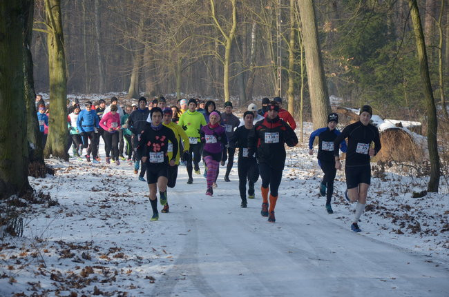 Z uśmiechem przez las (zdjęcia)