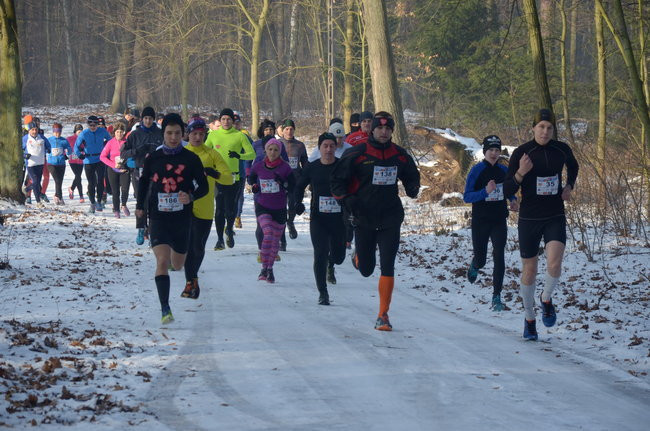 Z uśmiechem przez las (zdjęcia)