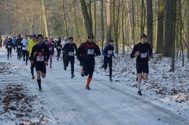 Z uśmiechem przez las (zdjęcia)