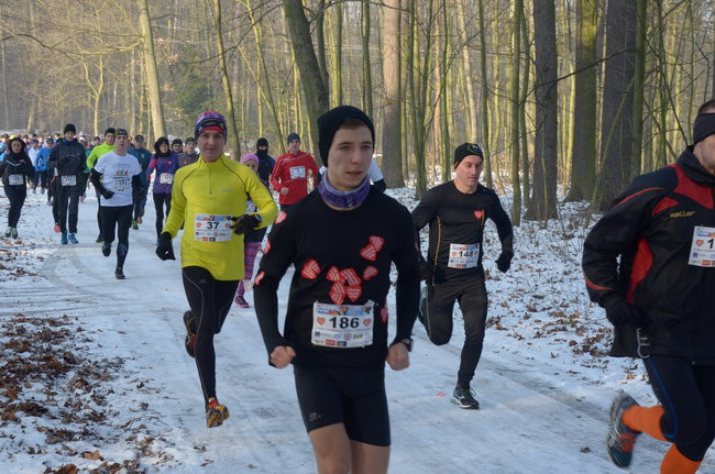 Z uśmiechem przez las (zdjęcia)