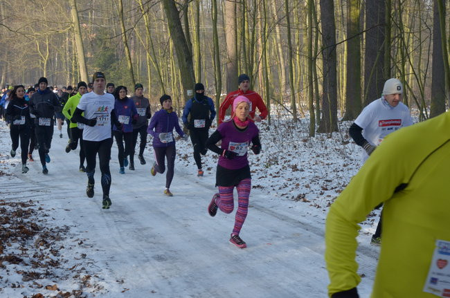 Z uśmiechem przez las (zdjęcia)