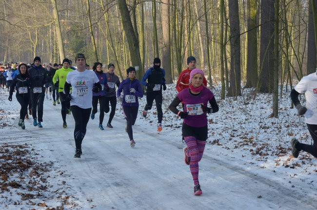 Z uśmiechem przez las (zdjęcia)