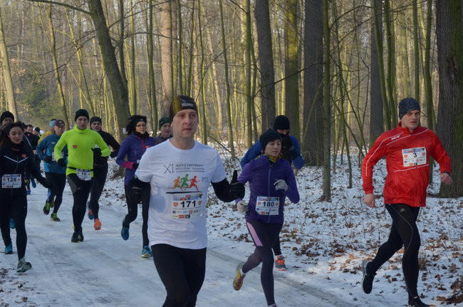 Z uśmiechem przez las (zdjęcia)