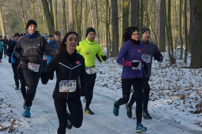 Z uśmiechem przez las (zdjęcia)