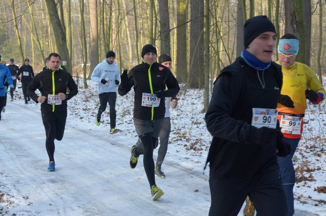 Z uśmiechem przez las (zdjęcia)