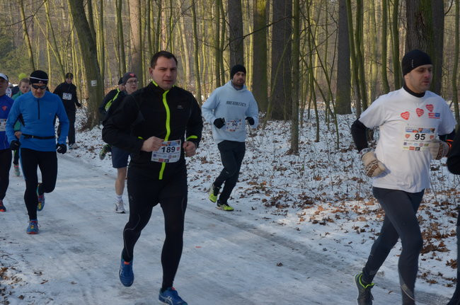 Z uśmiechem przez las (zdjęcia)