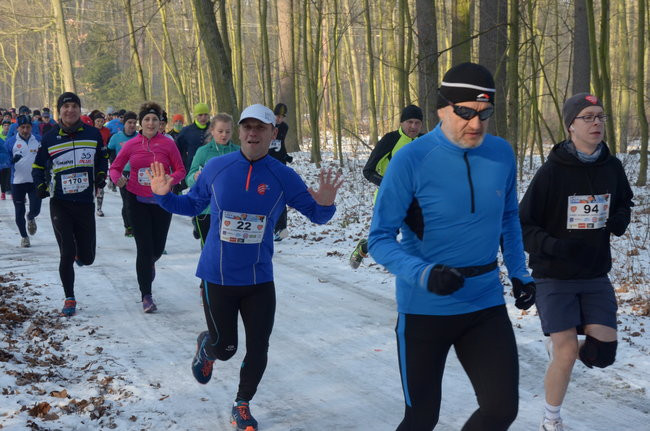 Z uśmiechem przez las (zdjęcia)