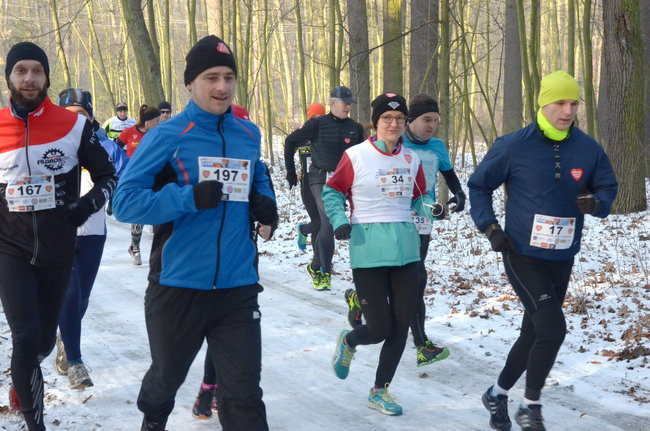 Z uśmiechem przez las (zdjęcia)