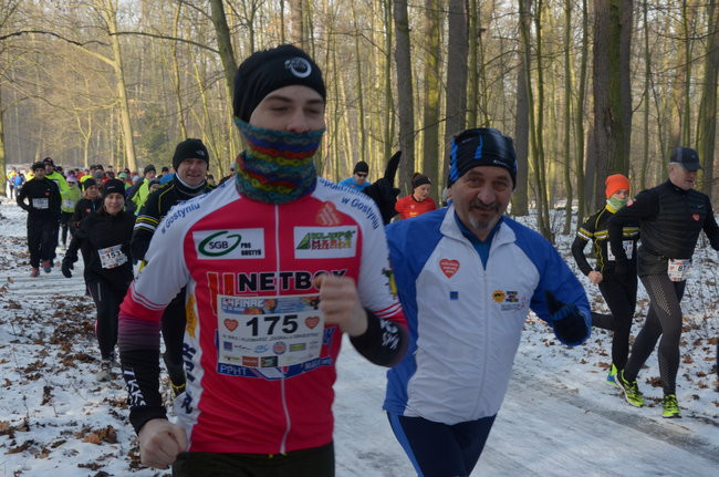 Z uśmiechem przez las (zdjęcia)