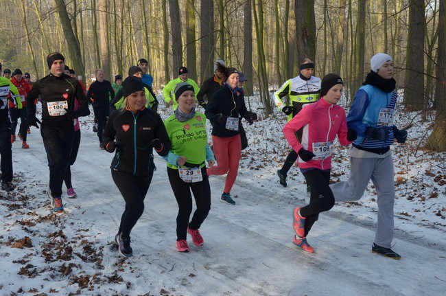 Z uśmiechem przez las (zdjęcia)