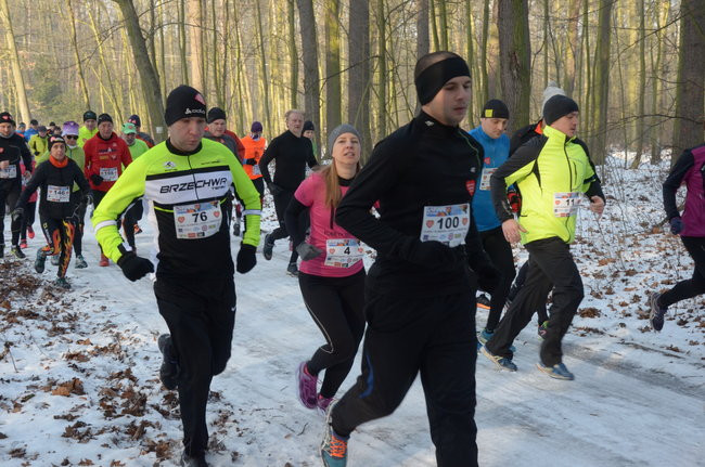 Z uśmiechem przez las (zdjęcia)