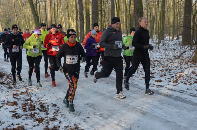 Z uśmiechem przez las (zdjęcia)