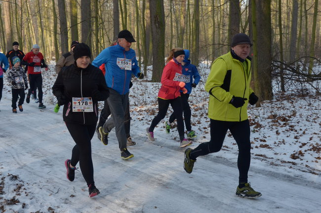 Z uśmiechem przez las (zdjęcia)