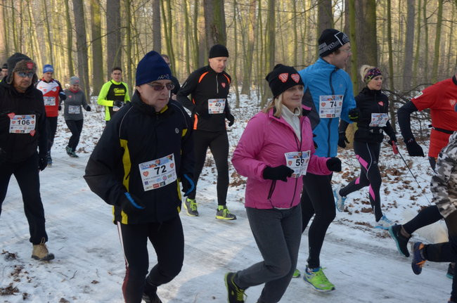 Z uśmiechem przez las (zdjęcia)