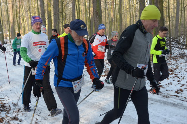 Z uśmiechem przez las (zdjęcia)