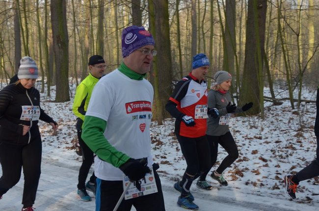 Z uśmiechem przez las (zdjęcia)